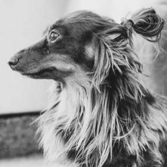 Meet your Posher, Collin - Picture 1 of 1